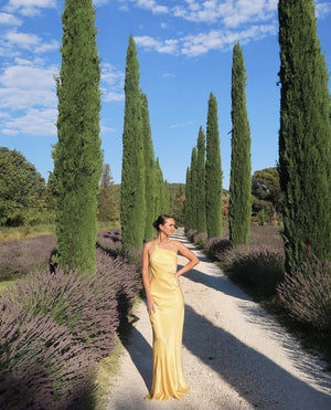 Katty Maxi Dress